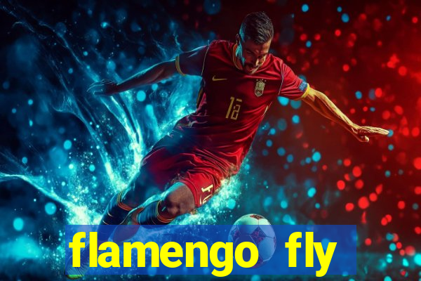 flamengo fly emirates ultimas noticias